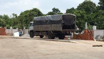 cui-bam-kim-minh-hai-04.jpg