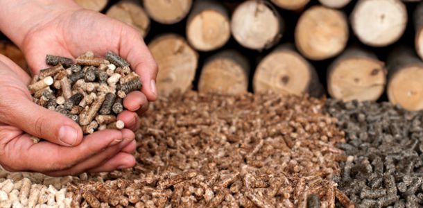 Tiềm năng phát triển thị trường viên nén gỗ mùn cưa
